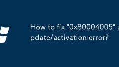 How to fix '0x80004005' update/activation error?