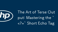 The Art of Terse Output: Mastering the `
