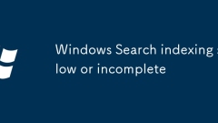 Windows -Suche Indexierung langsam oder unvollst?ndig