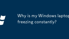 Warum friert mein Windows -Laptop st?ndig ein?