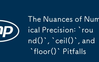 The Nuances of Numerical Precision: `round()`, `ceil()`, and `floor()` Pitfalls