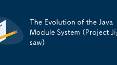 The Evolution of the Java Module System (Project Jigsaw)