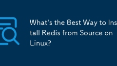 What's the Best Way to Install Redis from Source on Linux?