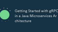 Getting Started with gRPC in a Java Microservices Architecture
