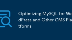 Optimierung von MySQL für WordPress und andere CMS -Plattformen
