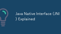 Java Native Interface (JNI) Explained