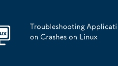 Troubleshooting Application Crashes on Linux