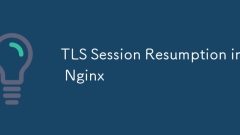 Nginx의 TLS 세션 재개