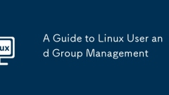 A Guide to Linux User and Group Management
