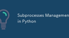 Subprozessemanagement in Python