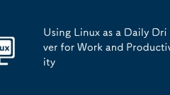 Using Linux as a Daily Driver for Work and Productivity