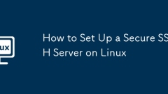 How to Set Up a Secure SSH Server on Linux