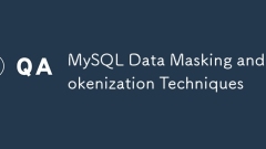 MySQL -Datenmaskierung und Tokenisierungstechniken