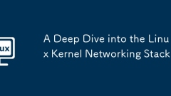 A Deep Dive into the Linux Kernel Networking Stack