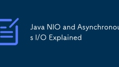 Java Nio und asynchrones E/O erklärten