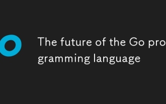 The future of the Go programming language