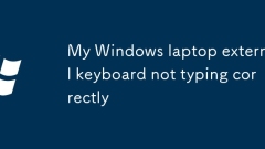 My Windows laptop external keyboard not typing correctly