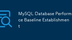 MySQL -Datenbankleistung Basis -Establishment