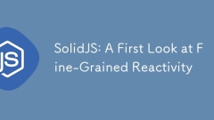 SOLIDJS:首先看细粒度的反应性
