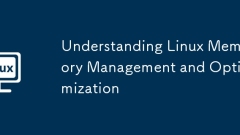 Understanding Linux Memory Management and Optimization