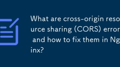CORS (Cross-Origin Resource Sharing) 오류는 무엇이며 Nginx에서이를 수정하는 방법은 무엇입니까?