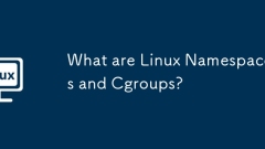What are Linux Namespaces and Cgroups?