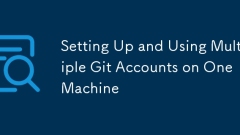 Einrichten und Verwenden mehrerer Git -Konten auf einem Computer