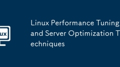 Linux Performance Tuning and Server Optimization Techniques