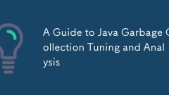 Un guide de réglage et d'analyse de la collection de ordures Java