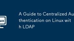 A Guide to Centralized Authentication on Linux with LDAP