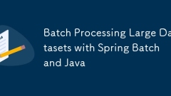 Batch memproses dataset besar dengan kumpulan musim bunga dan java