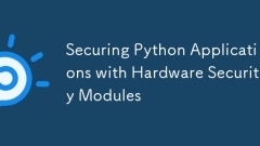 使用硬件安全模塊確保Python應用程序