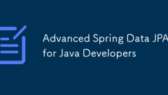 Data Spring Advanced JPA untuk Pemaju Java