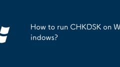Wie führe ich CHKDSK unter Windows aus?