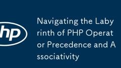 導航PHP操作員優先級和關聯的迷宮