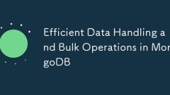 Efficient Data Handling and Bulk Operations in MongoDB