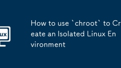 How to use `chroot` to Create an Isolated Linux Environment