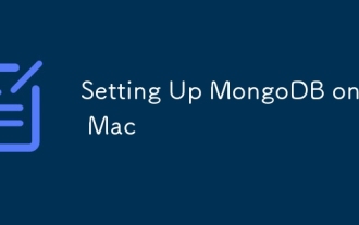 Setting Up MongoDB on a Mac