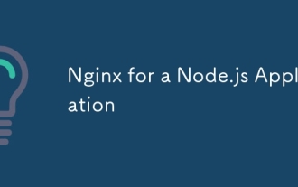 nginx for node.js应用程序