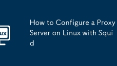 So konfigurieren Sie einen Proxy -Server unter Linux mit Squid