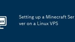 Linux VPS?? Minecraft ?? ??