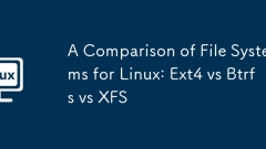 Linux? ?? ??? ?? : Ext4 vs Btrfs vs XFS