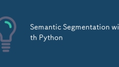 Segmentation sémantique avec Python
