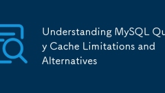 Verständnis von MySQL -Abfrage -Cache -Grenzen und -Anternativen
