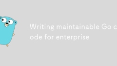 Wartungsableer -Go -Code für Enterprise schreiben