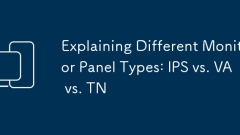 Erl?uterung verschiedener Monitor -Panel -Typen: IPS vs. VA vs. TN