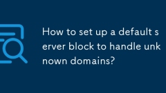 Wie richte ich einen Standard -Server -Block ein, um unbekannte Domänen zu verarbeiten?