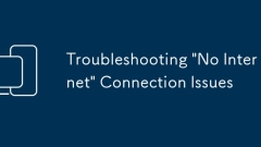 Fehlerbehebung 'No Internet' -Beverbindungsprobleme