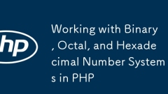 Bekerja dengan sistem nombor binari, oktal, dan heksadesimal dalam PHP