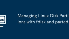 Verwalten von Linux -Festplatten -Partitionen mit FDISK und Trennung